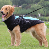 Reflecterende Hondenjas met Harnas - GlowPaw™