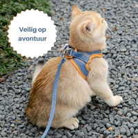 Kattentuigje - Oscar