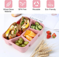 4-Pack Bento Snackdozen – 4 Compartimenten