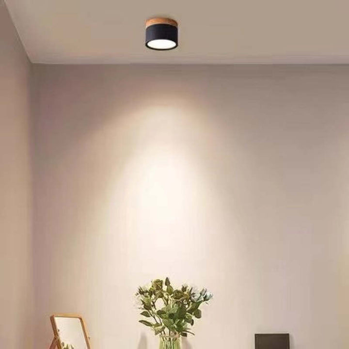Morandi Stijl Moderne LED Plafondlamp - LumiModo