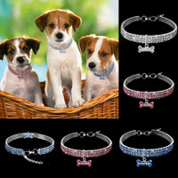 Premium Huisdieren Halsband - Bling It On