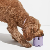 Gebit Verzorgend Speelgoed voor Honden - BounceChew