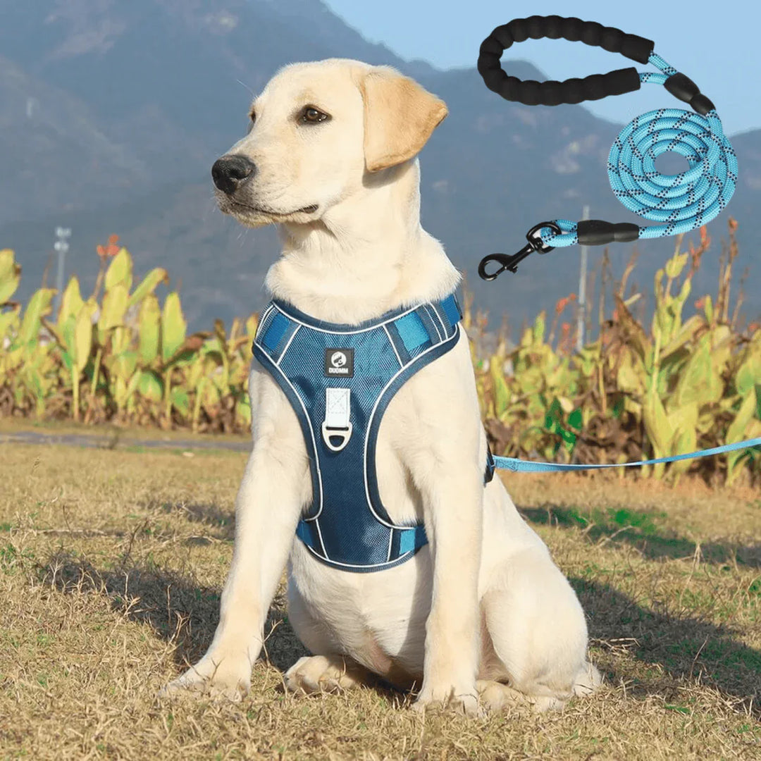 Anti-Trek Hondentuig met Comfortvoering – PullFree