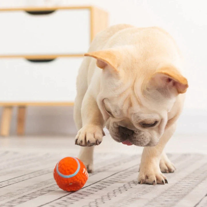 Het Onverwoestbare Speelmaatje voor Honden - KryptoChew