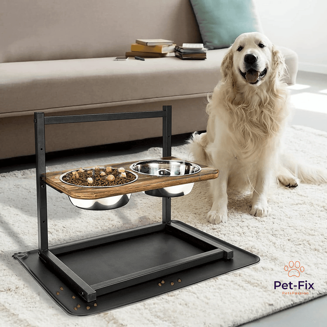 Premium Verhoogd Honden Voederstation - SnackHaven