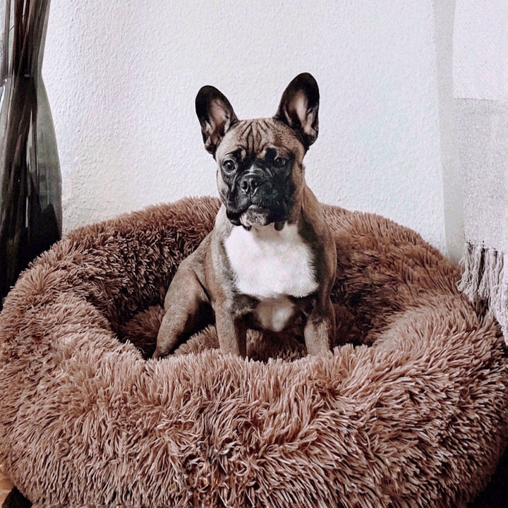 Hondenmand Fluffy Plus – Het Origineel