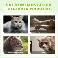 Rustgevende Kattenspray - SilverVine Bliss Spray