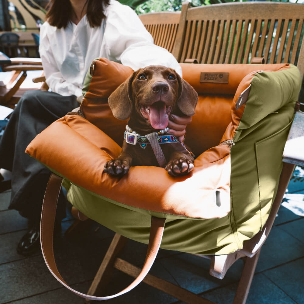 Comfortabele Autostoel voor Honden - PawLuxury