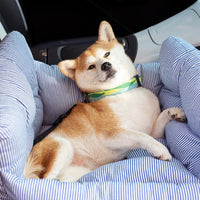 Huisdier Autostoel - RoadTrip Pet Bolster