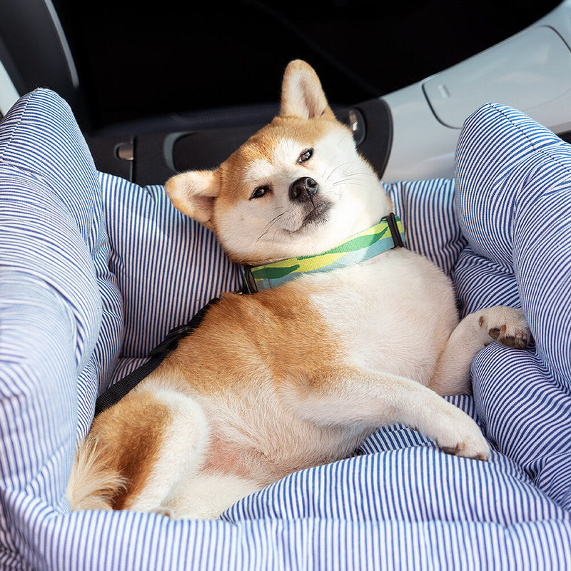 Huisdier Autostoel - RoadTrip Pet Bolster