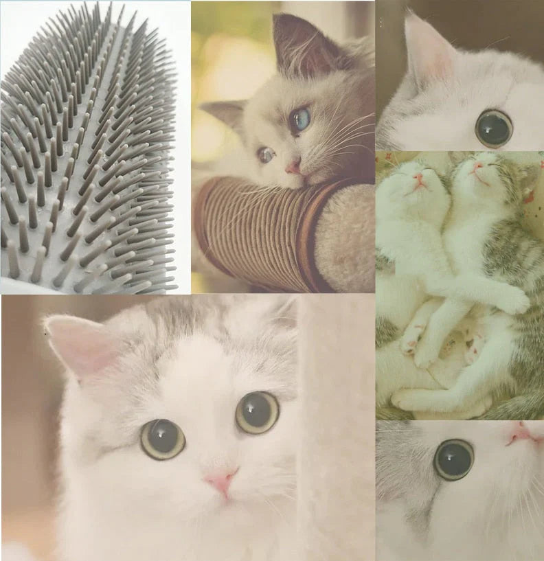 Katten Hoekborstel voor Zelfverzorging - PurrGroom
