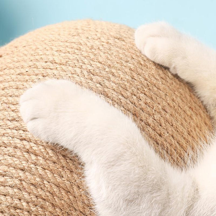 Veelzijdig Kattenspeeltje -  CatScratch Wonderland