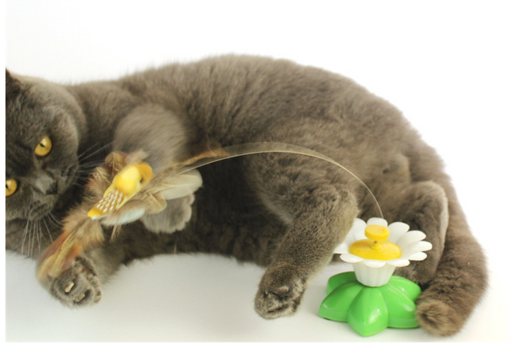 Bewegend Kattenspeeltje - FlutterPaw
