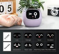 Automatische Smart Bloempot - GreenBuddy SmartPot