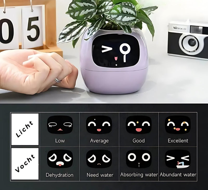 Automatische Smart Bloempot - GreenBuddy SmartPot