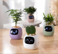 Automatische Smart Bloempot - GreenBuddy SmartPot