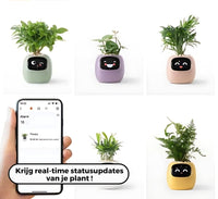 Automatische Smart Bloempot - GreenBuddy SmartPot