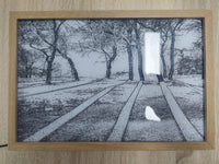 LED Verlichtingsschilderij – Luminza