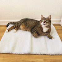 Zelfverwarmende Kattenmat - WarmPurr™