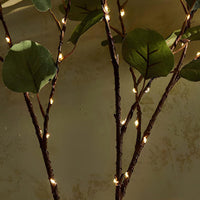 Sfeervolle LED Tak voor een Magische Touch - GlowBranch