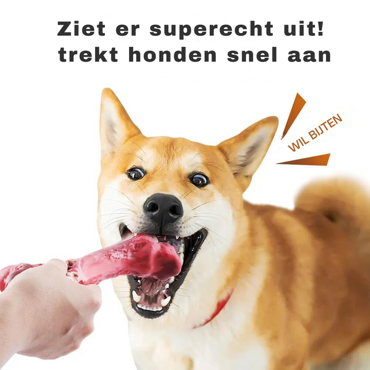 De Speelse Tandverzorger voor Honden - BuddyChew