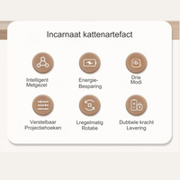 Interactief Laser Kattenspeelgoed - LaserPaw