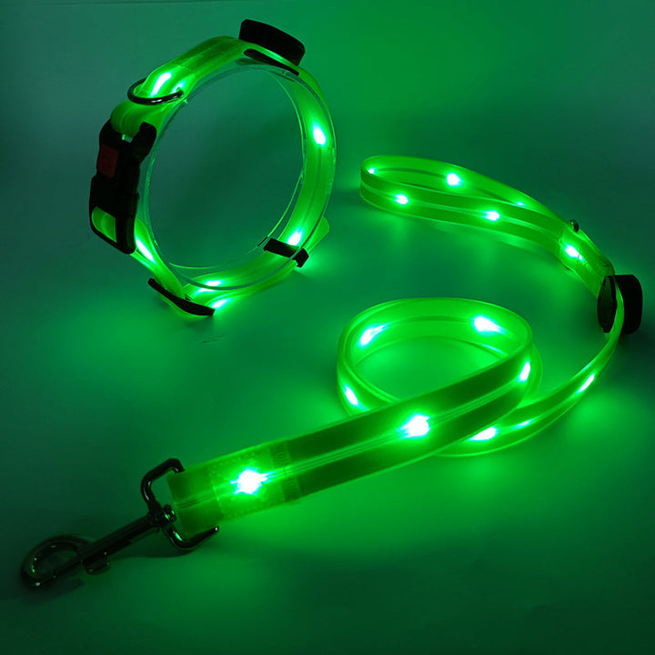Lichtgevende LED Honden Halsband met Riem - NightBright