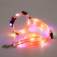 Lichtgevende LED Honden Halsband met Riem - NightBright