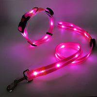 Lichtgevende LED Honden Halsband met Riem - NightBright