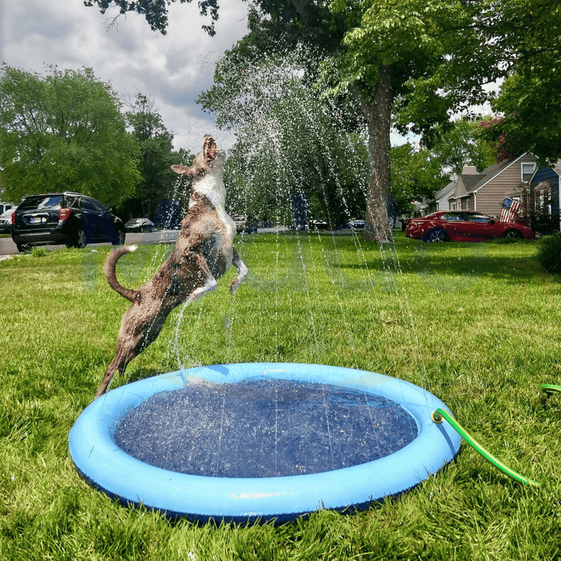 Speelbad met Waterstralen – SplashZone