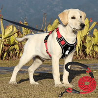 Anti-Trek Hondentuig met Comfortvoering – PullFree