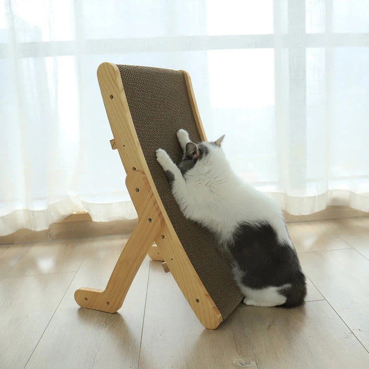 Katten Krabbed - Luna