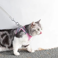 Verstelbaar Kattenharnas met Lijn – WhiskerWander