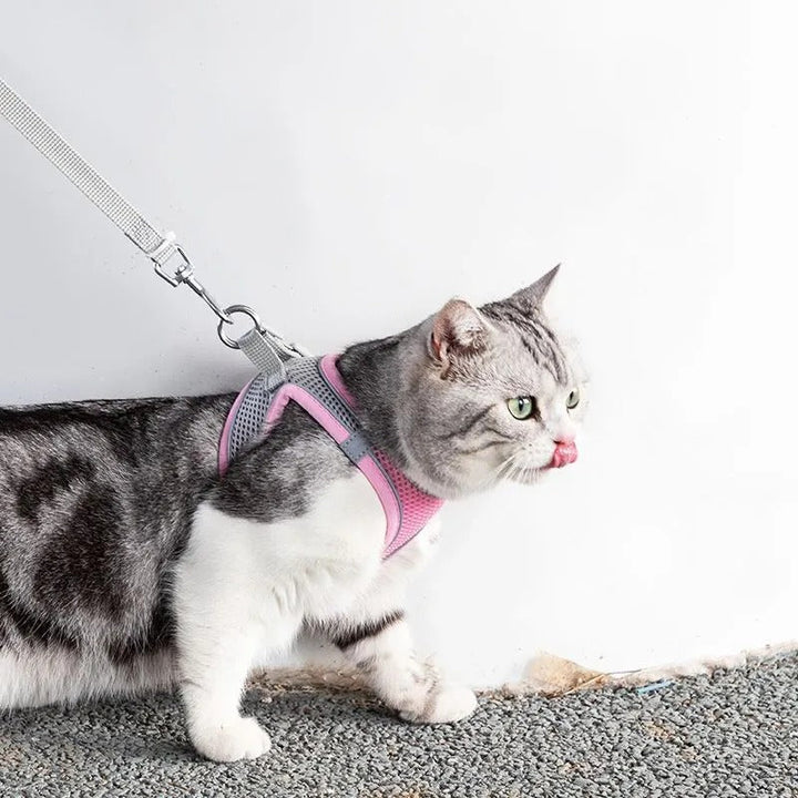 Verstelbaar Kattenharnas met Lijn – WhiskerWander