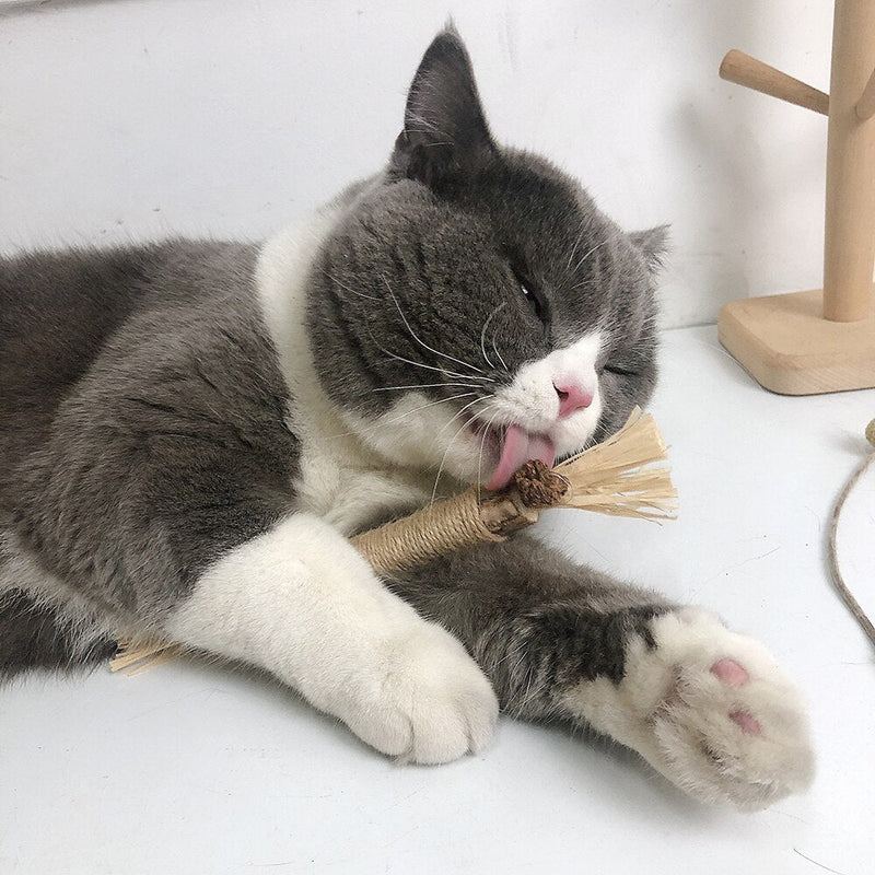 Interactieve Kauwstokken voor Katten - ChewPlay
