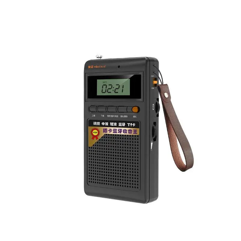Draagbare Bluetooth Radio en MP3-speler - SoundPocket Mini