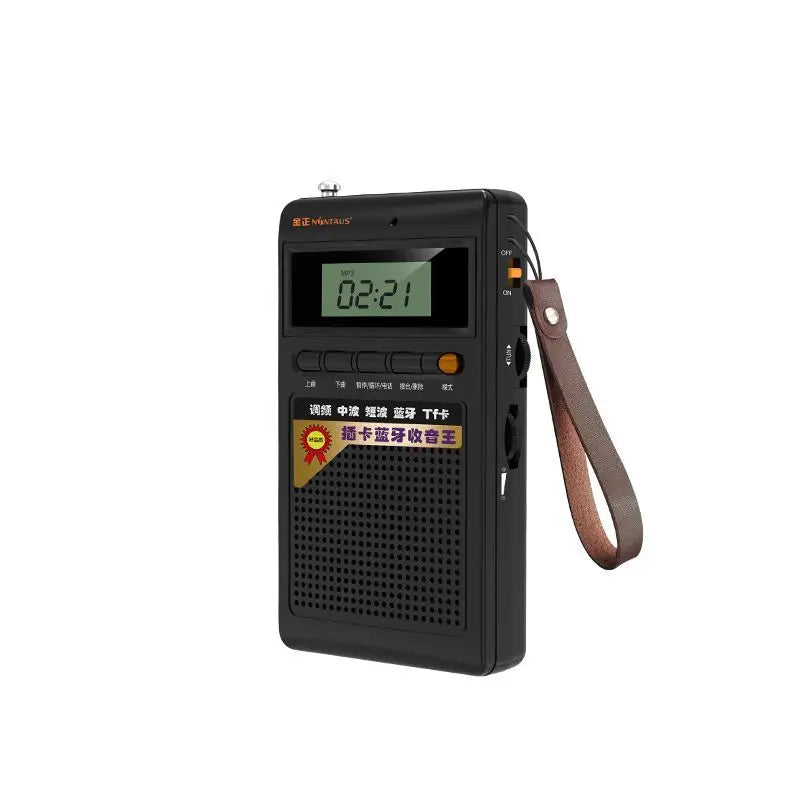 Draagbare Bluetooth Radio en MP3-speler - SoundPocket Mini