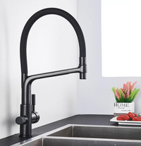 Keukenkraan met Dubbele Uitloop en Waterfiltratie - PureFlow Duo