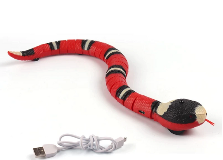 Katten Jachtspeeltje - SlitherPlay