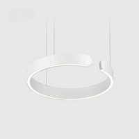 Moderne Cirkel LED Hanglamp - HaloRing