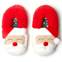 Kerst Sloffen voor het Gezin - FestiveFamily