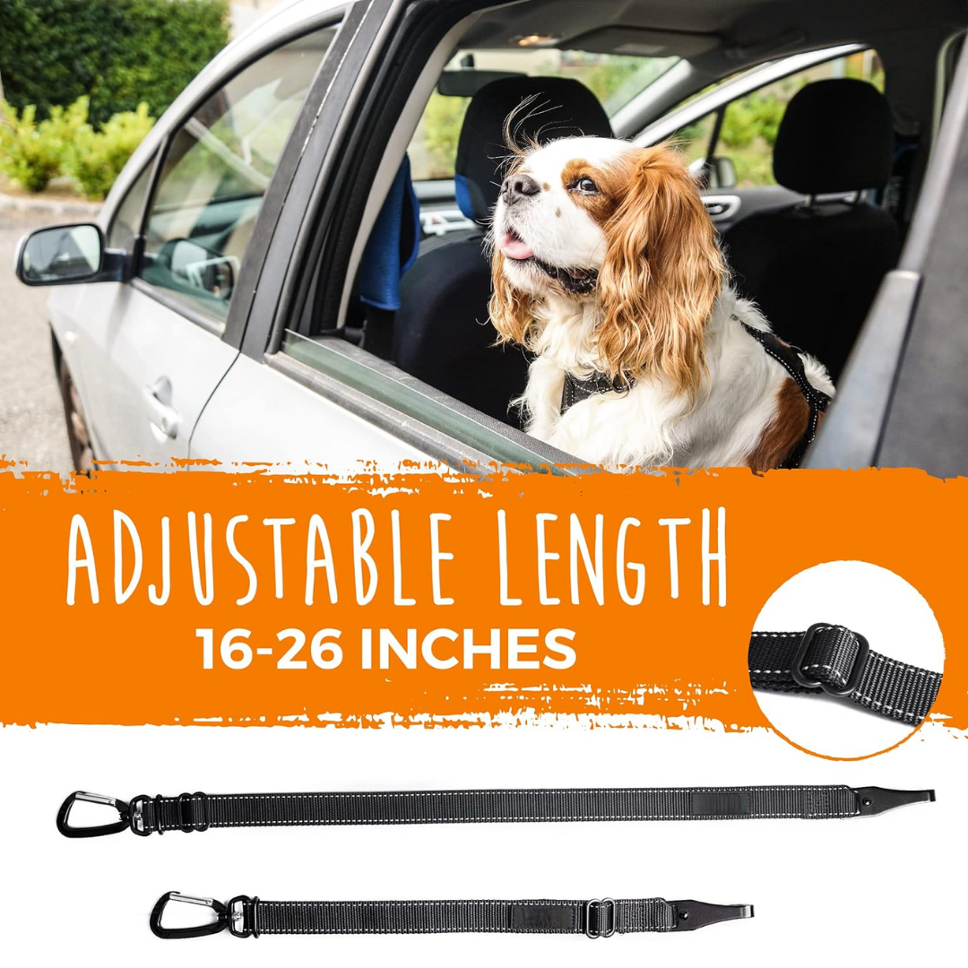 Hondenautogordel - Veilig je huisdier vast in seconden!