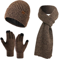 Heren Winter Beanie & Handschoenen Set - Victor