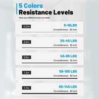 Weerstandsbanden Set voor Pull-Up Assistentie en Workouts