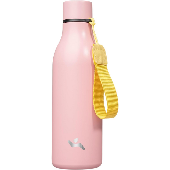 Geïsoleerde RVS Waterfles met Strap