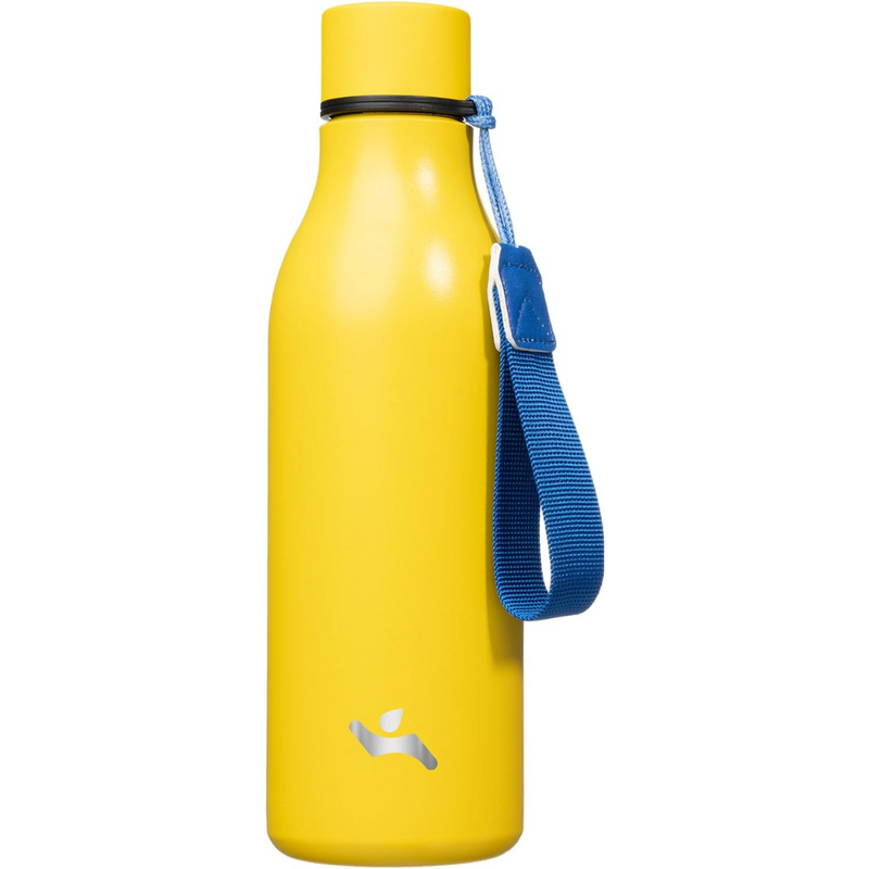 Geïsoleerde RVS Waterfles met Strap