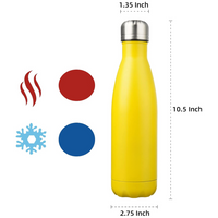 RVS Isolerende Fles – Lekvrije & Reisvriendelijke Waterfles