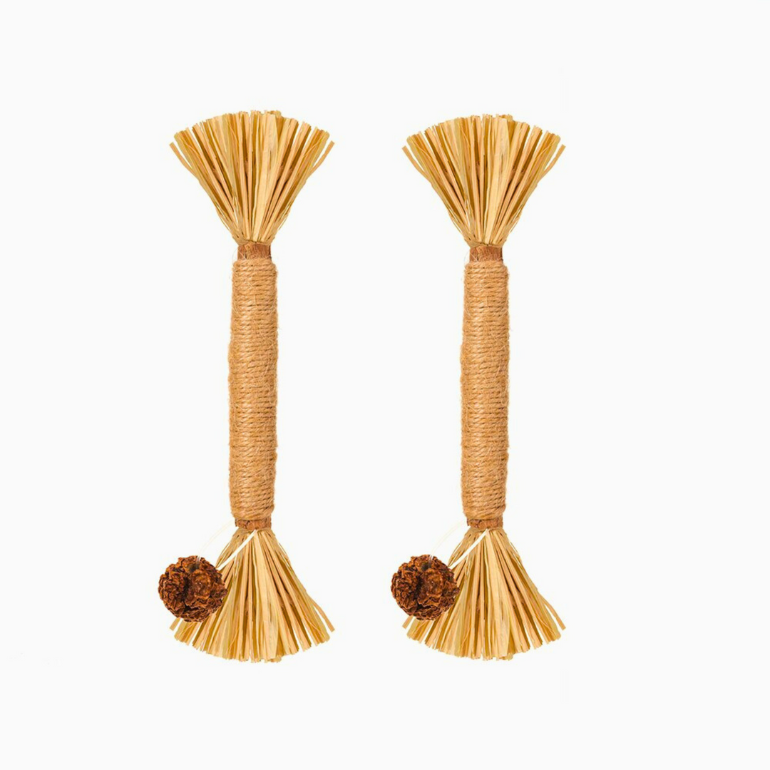 Interactieve Kauwstokken voor Katten - ChewPlay
