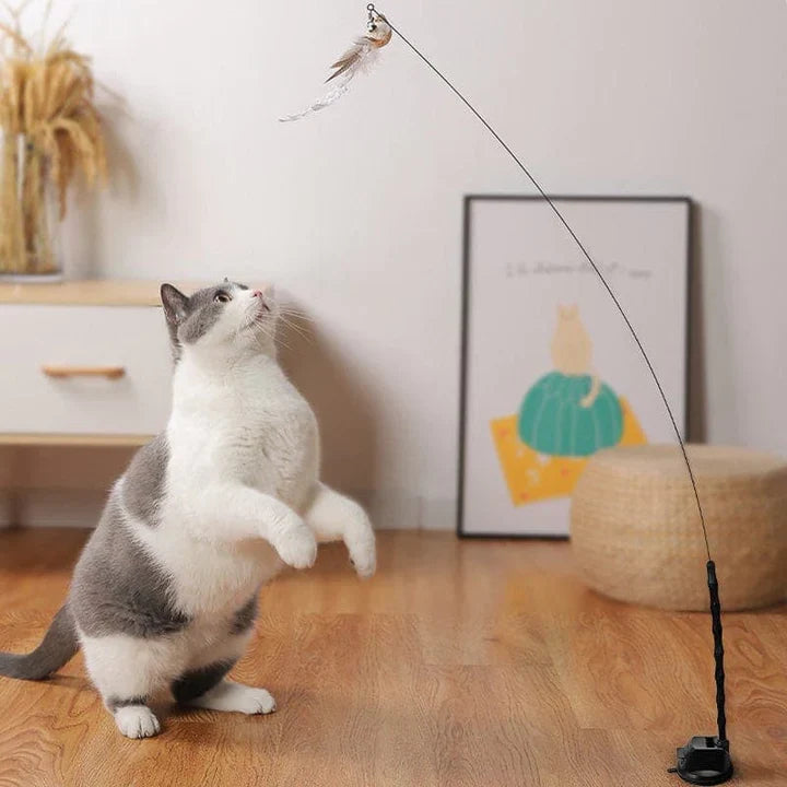 Interactief Kattenspeeltje - FlutterVriend