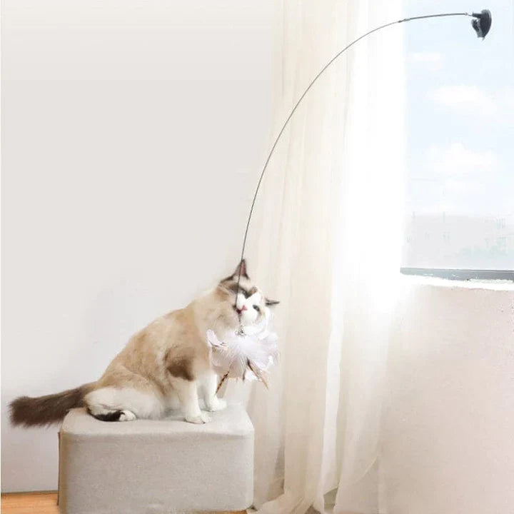 Interactief Kattenspeeltje - FlutterVriend